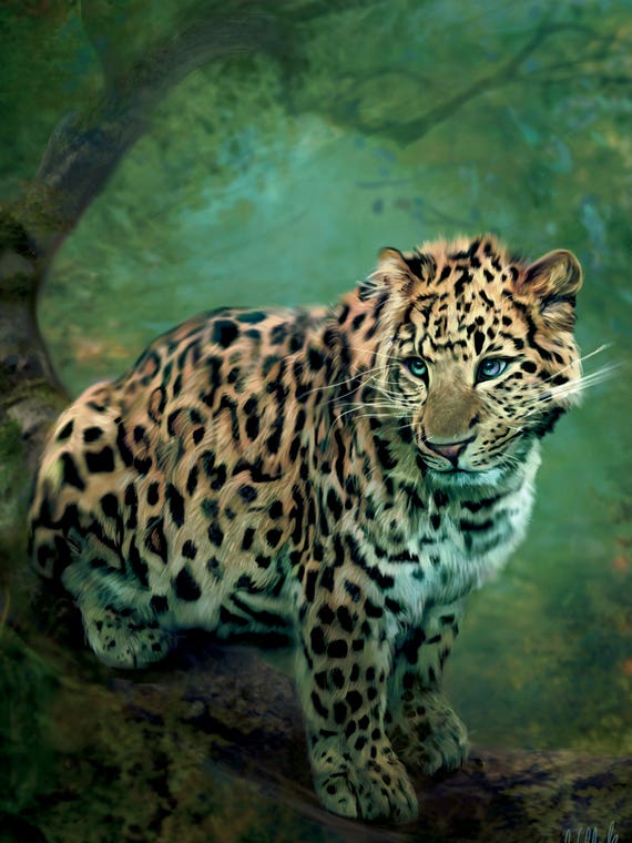 Leopard by Bente Schlick