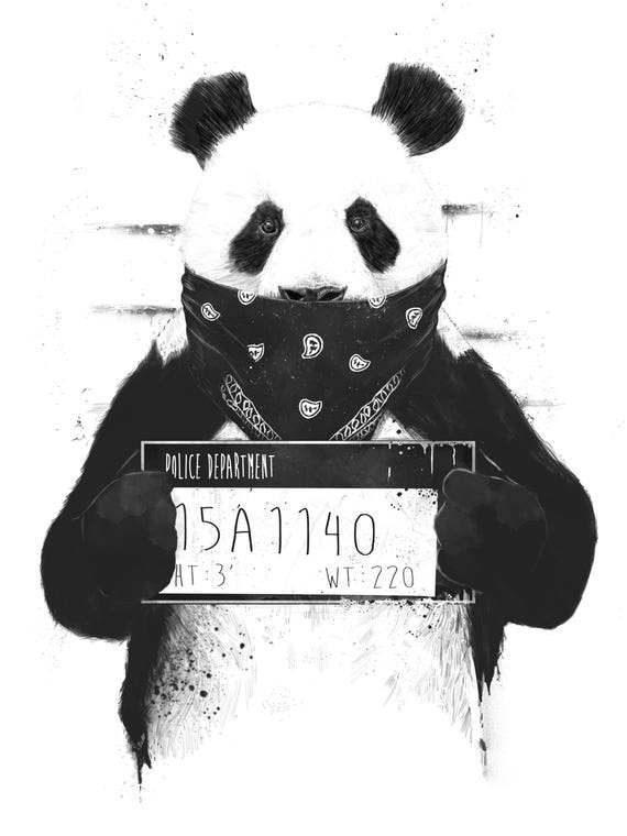 Bad Panda by Balazs Solti