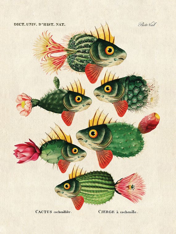 Cactus Fish by Beto Val