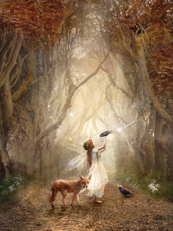 The Dark Hedges Ireland by Charlotte Bird