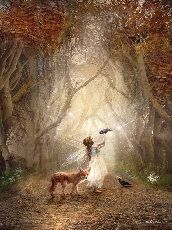The Dark Hedges Ireland by Charlotte Bird