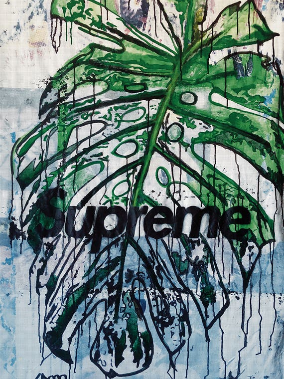 Greenery by Cicero Spin