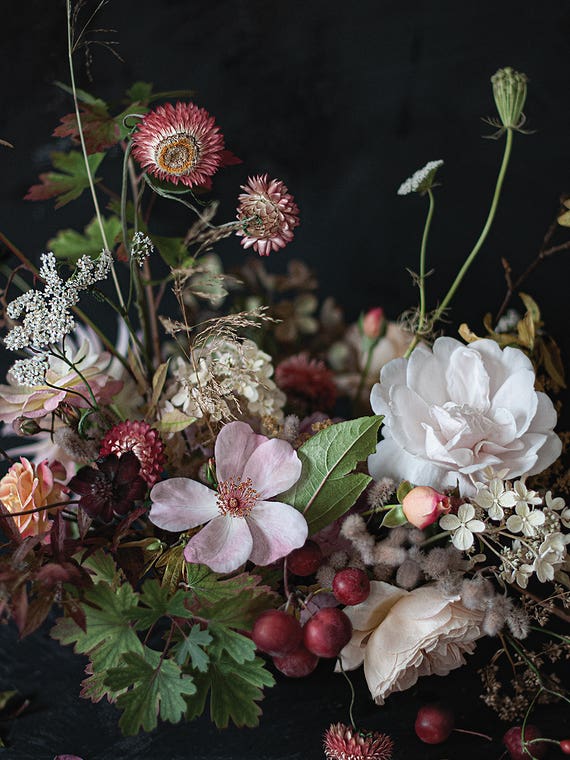 October Roses by Cornelia Weber