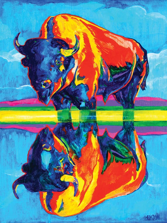 Bison Reflections by Derrick Higgins