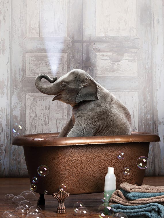 Elephant In The Tub by Domonique Brown