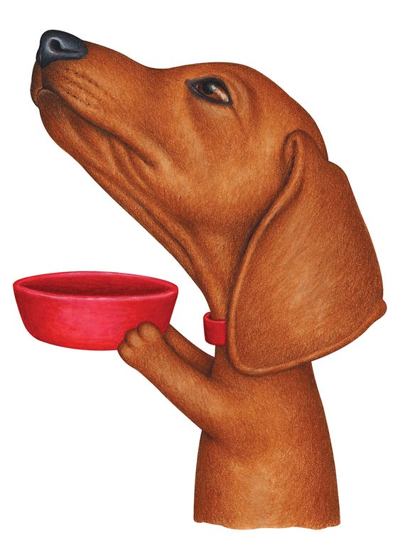 Dachshund Fill The Bowl Please by Danny Gordon