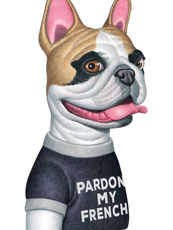 French Bulldog With Black T-Shirt by Danny Gordon