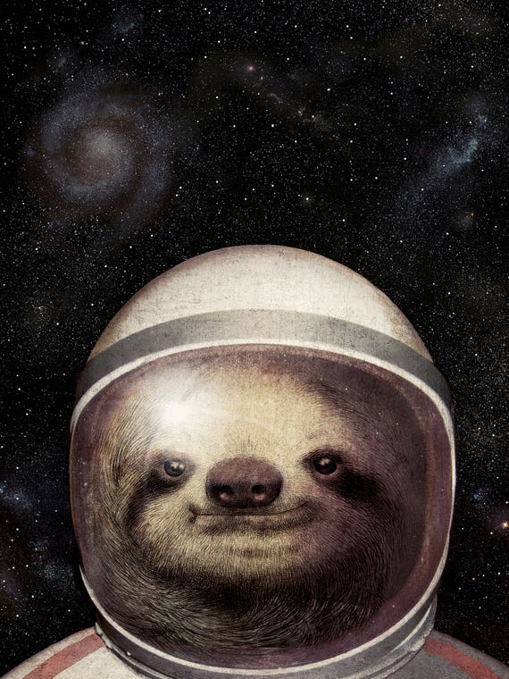 Space Sloth by Eric Fan