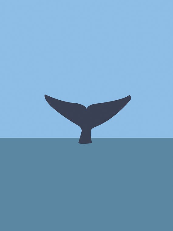 Blue Whale Tail, Mirissa, Sri Lanka by Lyman Creative Co.