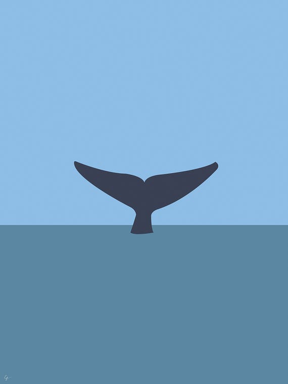 Blue Whale Tail, Mirissa, Sri Lanka by Lyman Creative Co. 