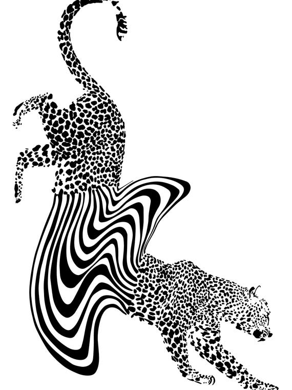 Cheetah Melt by Ella Mazur