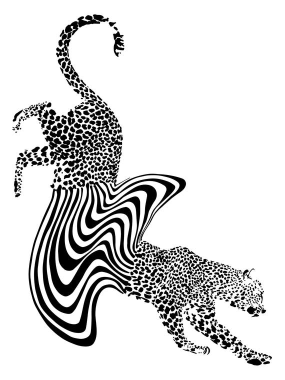 Cheetah Melt by Ella Mazur