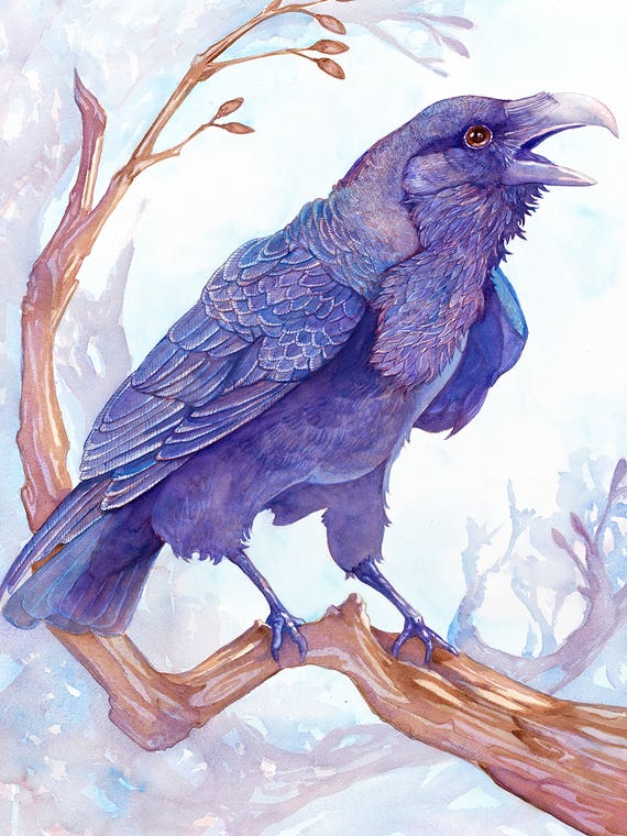 Cawing Raven by CarrieAnn Reda