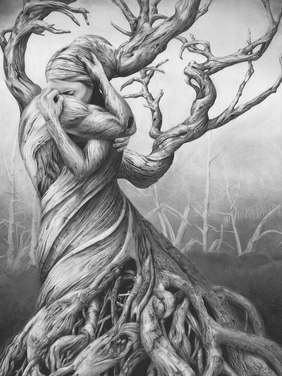 One Tree by Fiona Francois