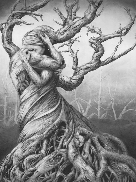 One Tree by Fiona Francois