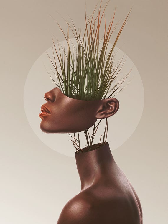 Sationem Vitae by Jordan Marchand