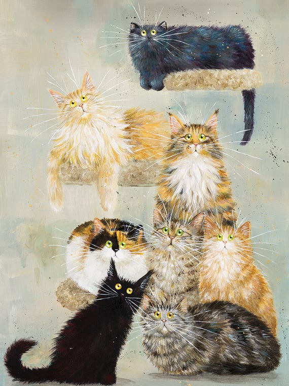 The Haynes Cats by Kim Haskins