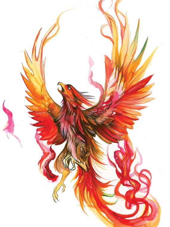 Rise of The Phoenix by Katy Lipscomb