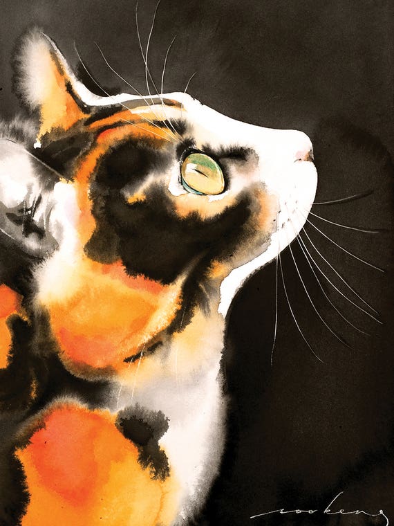 Night-Time Gazer by Soo Beng Lim