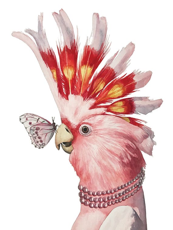 Pink Cockatoo by Lisa Lennon
