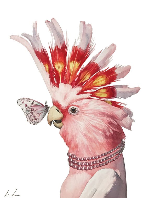 Pink Cockatoo by Lisa Lennon