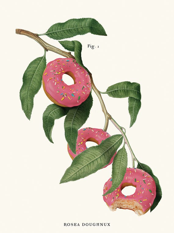 Donut Plant by Jonas Loose