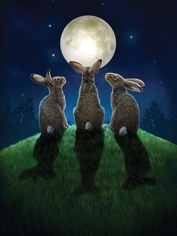 Moon Shadows by Lisa Parker