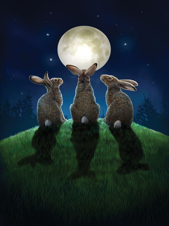 Moon Shadows by Lisa Parker