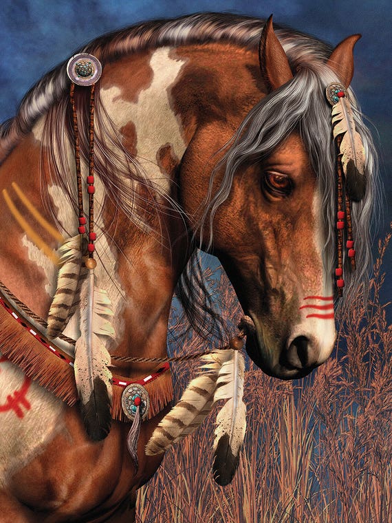 War Pony by Laurie Prindle