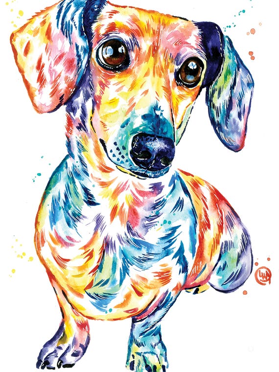 Dachshund by Lisa Whitehouse
