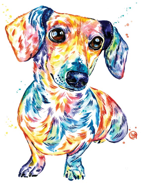 Dachshund by Lisa Whitehouse