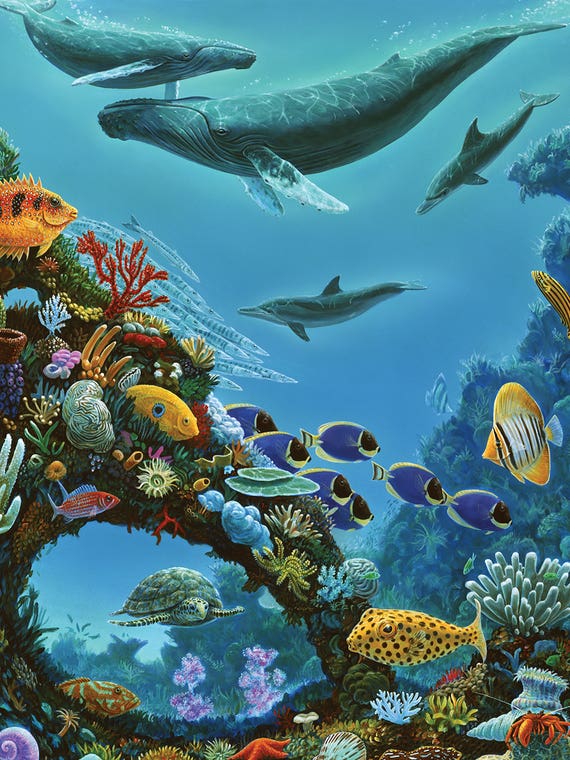 Beauty And The Reef by Charles Lynn Bragg