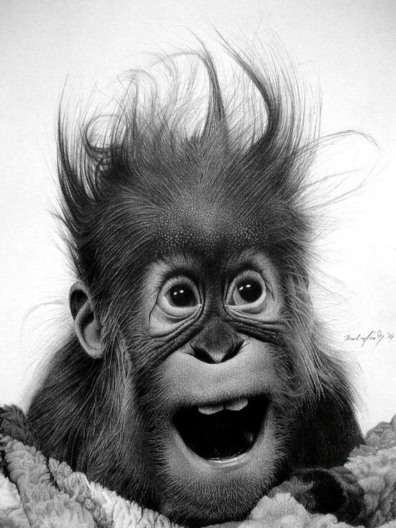 Don't Panic by Miro Gradinšćak