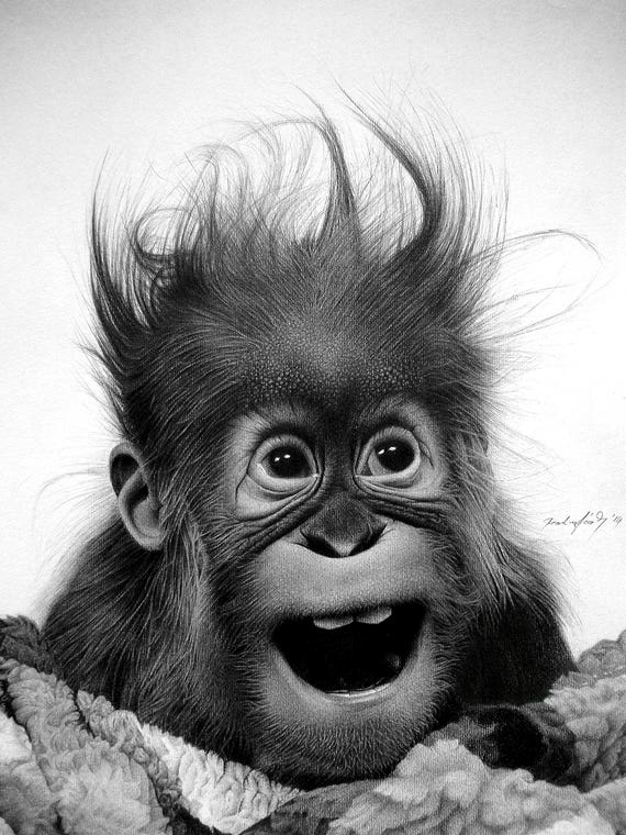 Don't Panic by Miro Gradinšćak