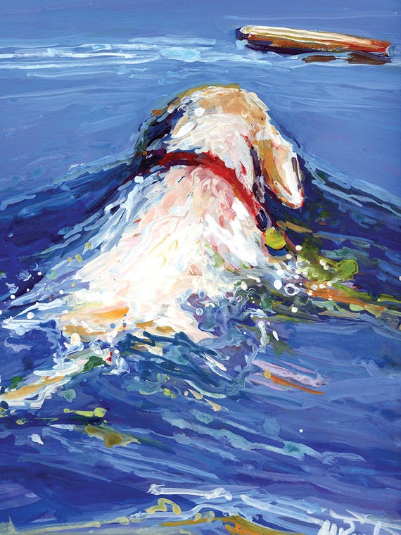 Driftwood by Molly A. Poole