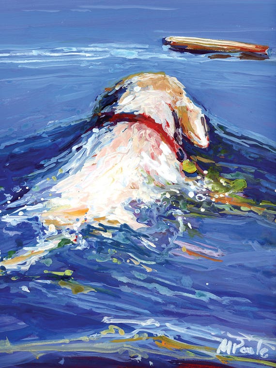 Driftwood by Molly A. Poole