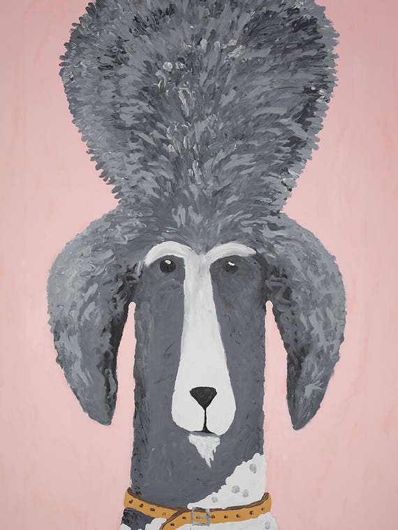 King Poodle by Nynke Kuipers