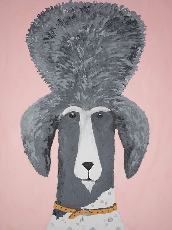 King Poodle by Nynke Kuipers