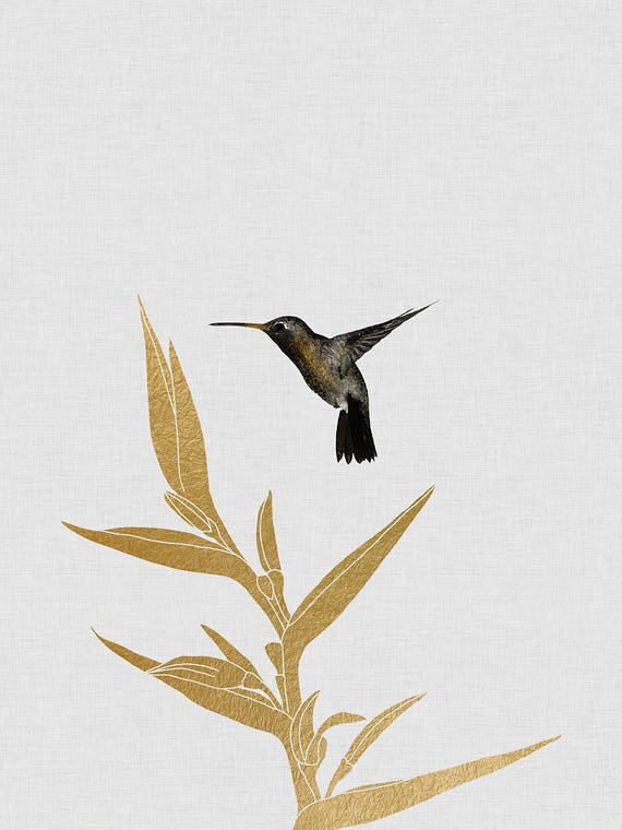 Hummingbird & Flower I by Orara Studio