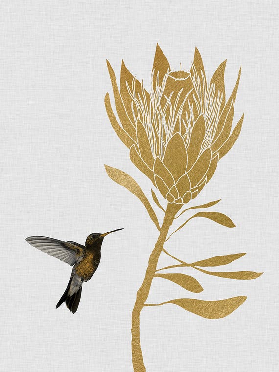 Hummingbird & Flower II by Orara Studio