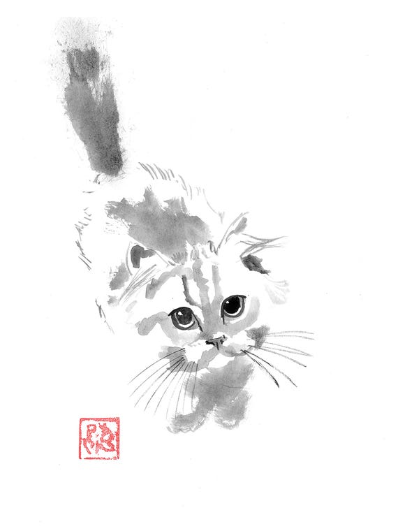 Cute Fluffy Cat by Péchane