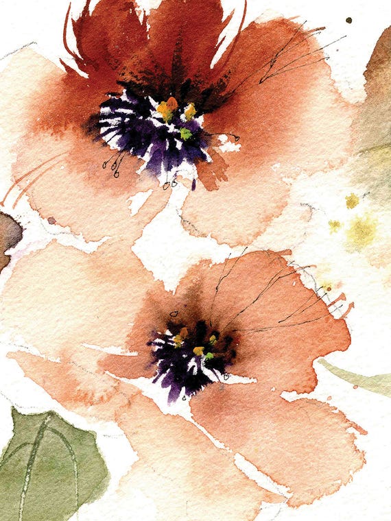 Peach Poppy Flowers by Pamela Harnois