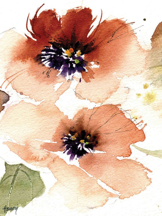 Peach Poppy Flowers by Pamela Harnois