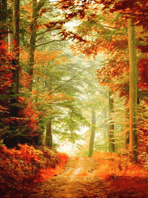 Fall Painting by Philippe Sainte-Laudy