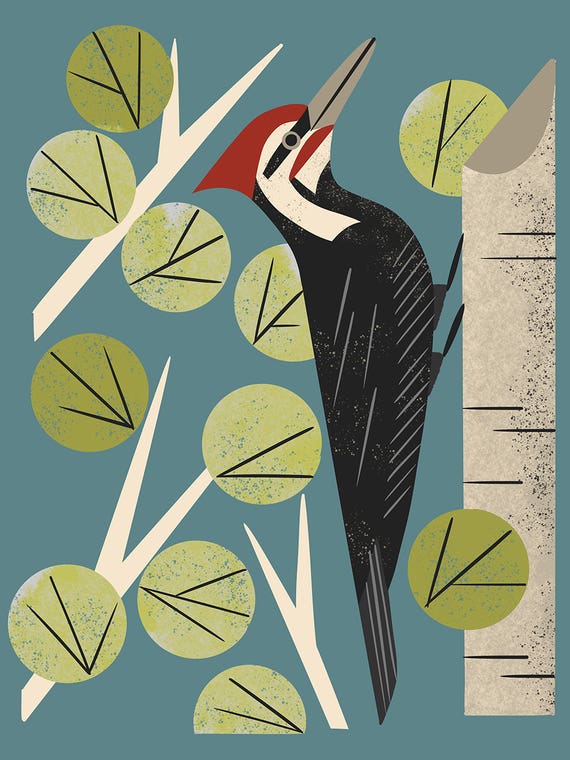 Woodpecker In Aspen by Renea L. Thull