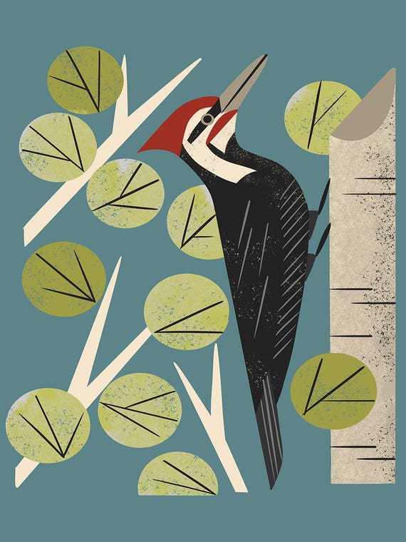 Woodpecker In Aspen by Renea L. Thull