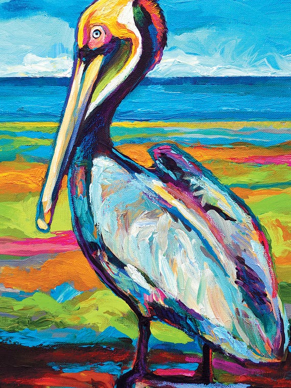 Pelican by Robert Phelps