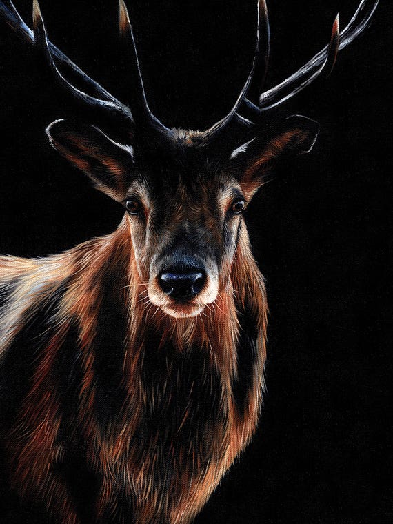 Stag by Sarah Stribbling