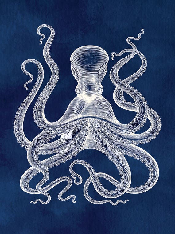 Hamptons Octopus by Jania Sharipzhanova