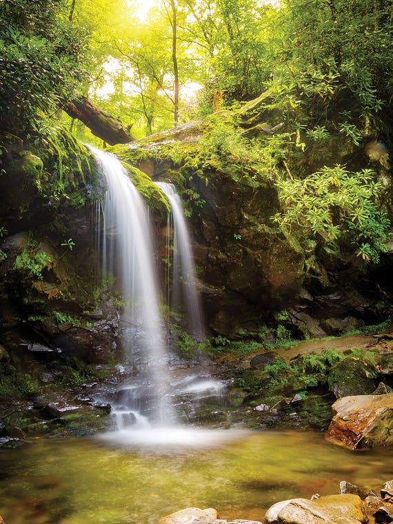 Grotto Falls In Smoky Mountain National Park by Susan Richey